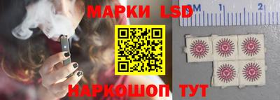 гидропоника Краснознаменск