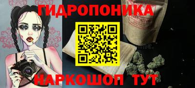 гидропоника Краснознаменск