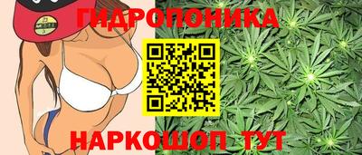 прущие крисы Краснокаменск