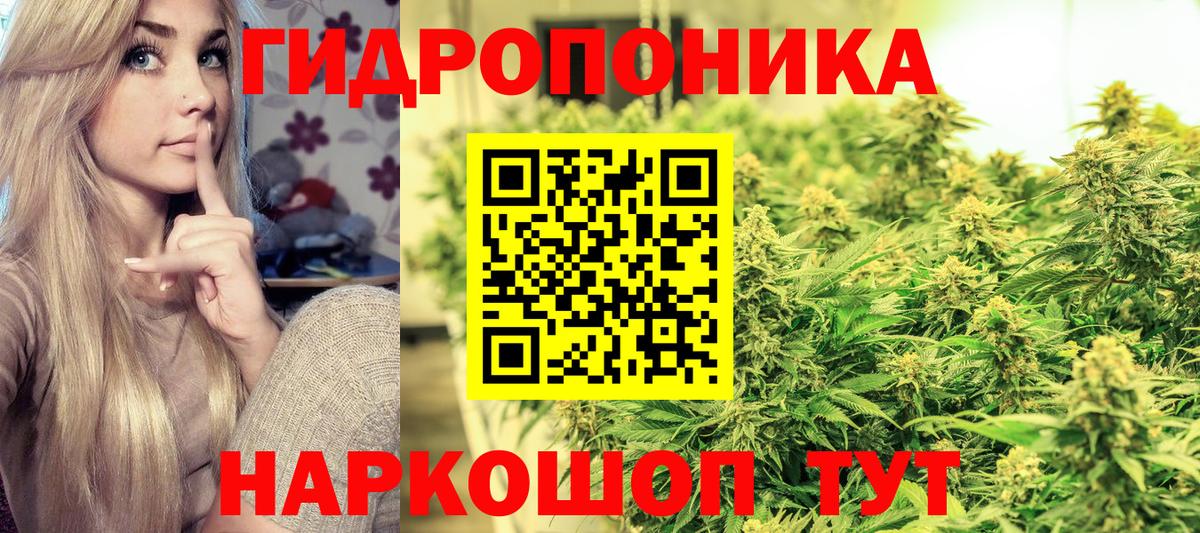 Канабис планчик  Конопля Bruce Banner  Канабис план  Бошки Шишки VHQ  Карачаевск  Вход с VPN 